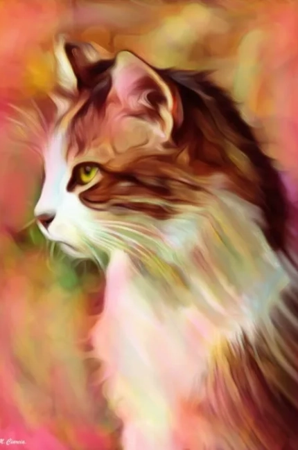 12713348_micio-gatto-300-dp-485×693