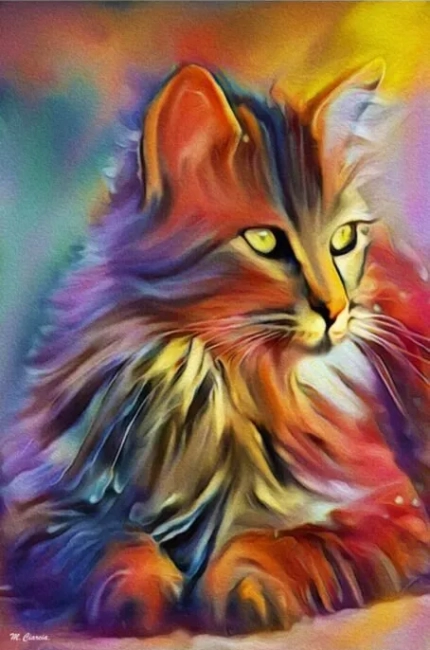 gatto-solare-poster-su-carta-fotografica-1-454×693